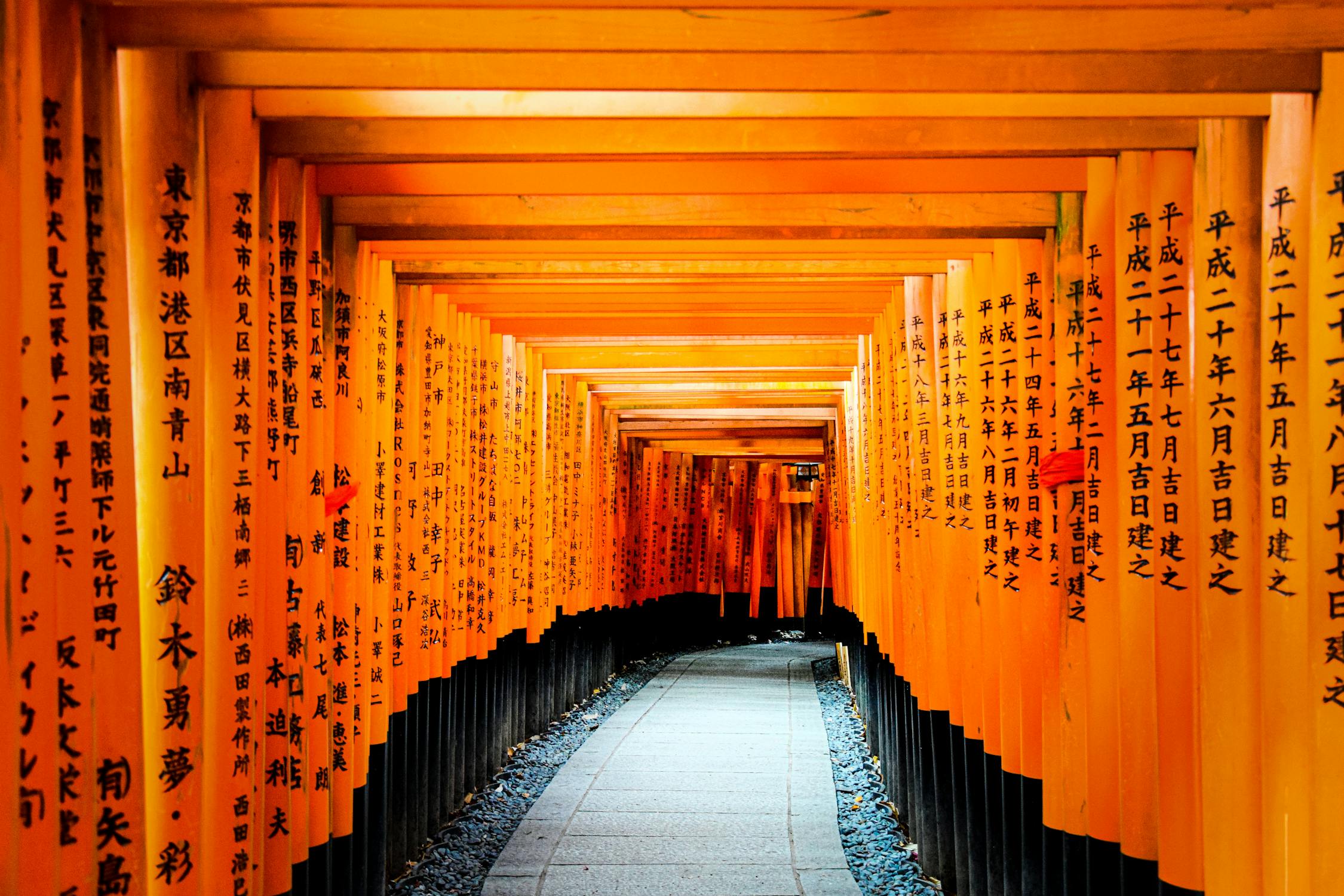 Article Image for Discovering the Historic Beauty of Kyoto's Temples and Shrines