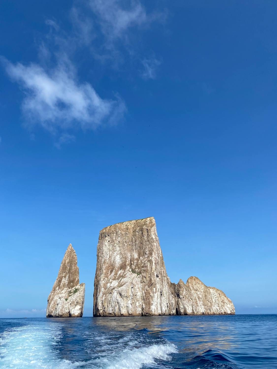 Exploring the Unique Ecosystems of the Galápagos Islands, Ecuador