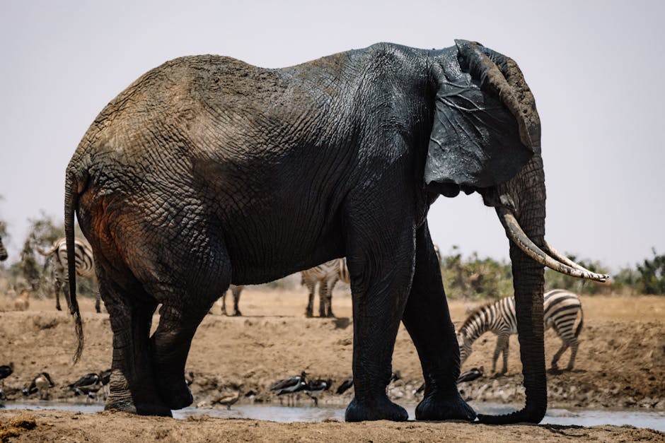 Article Image for Tips for Capturing Wildlife Photography on Safari Tours