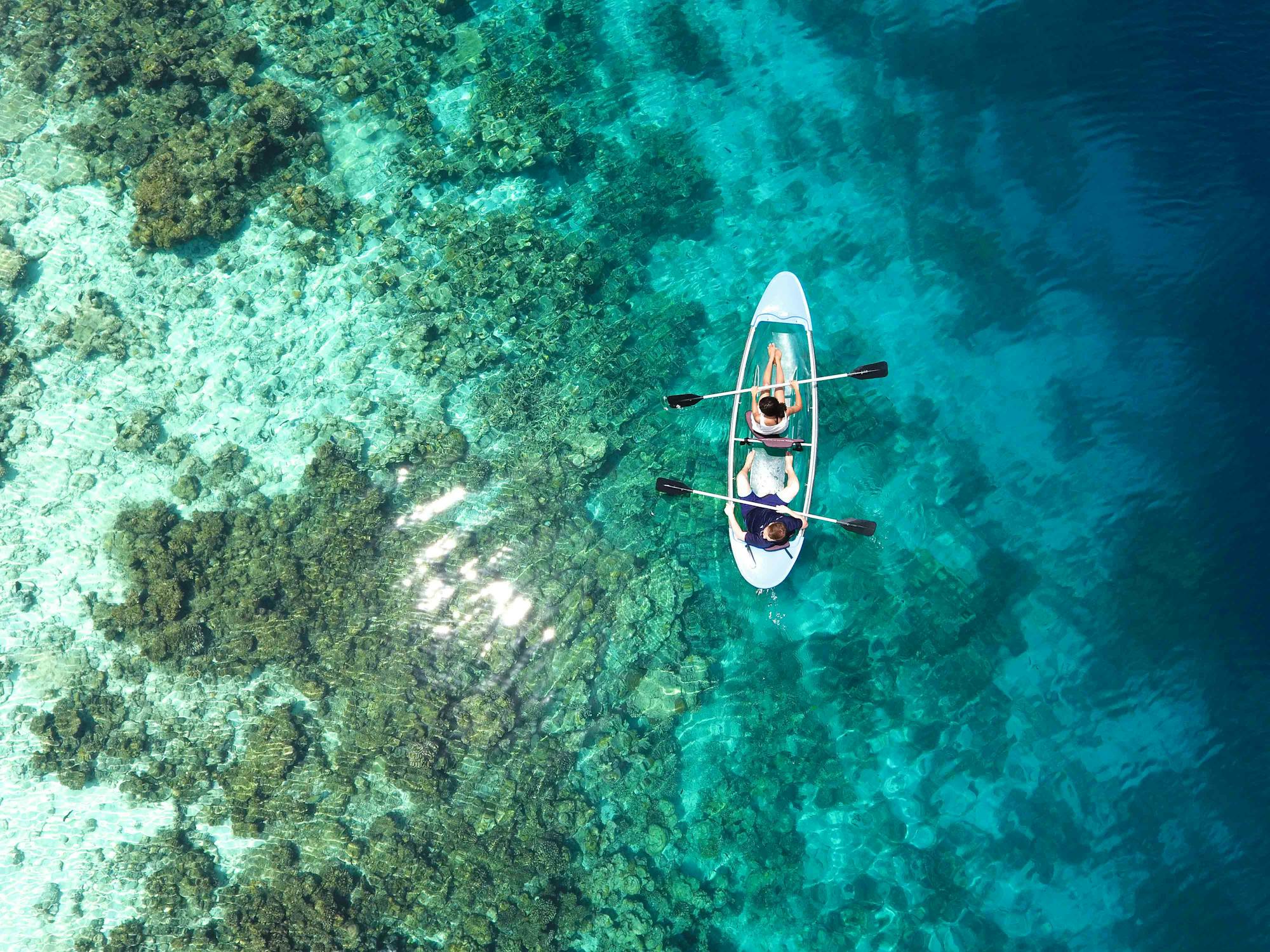 Article Image for Exploring Australia's Great Barrier Reef: A Diver's Paradise