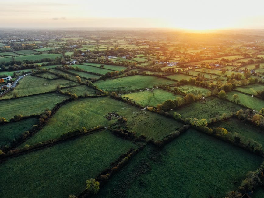 Article Image for How to Use Drones for Capturing Epic Travel Photos