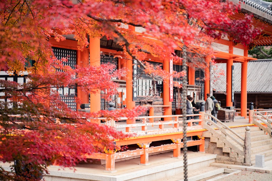 Discovering the Historic Beauty of Kyoto's Temples and Shrines