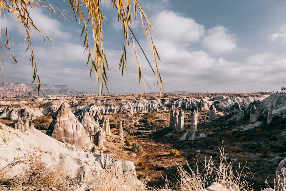 A Guide to Exploring Yellowstone National Park's Natural Wonders